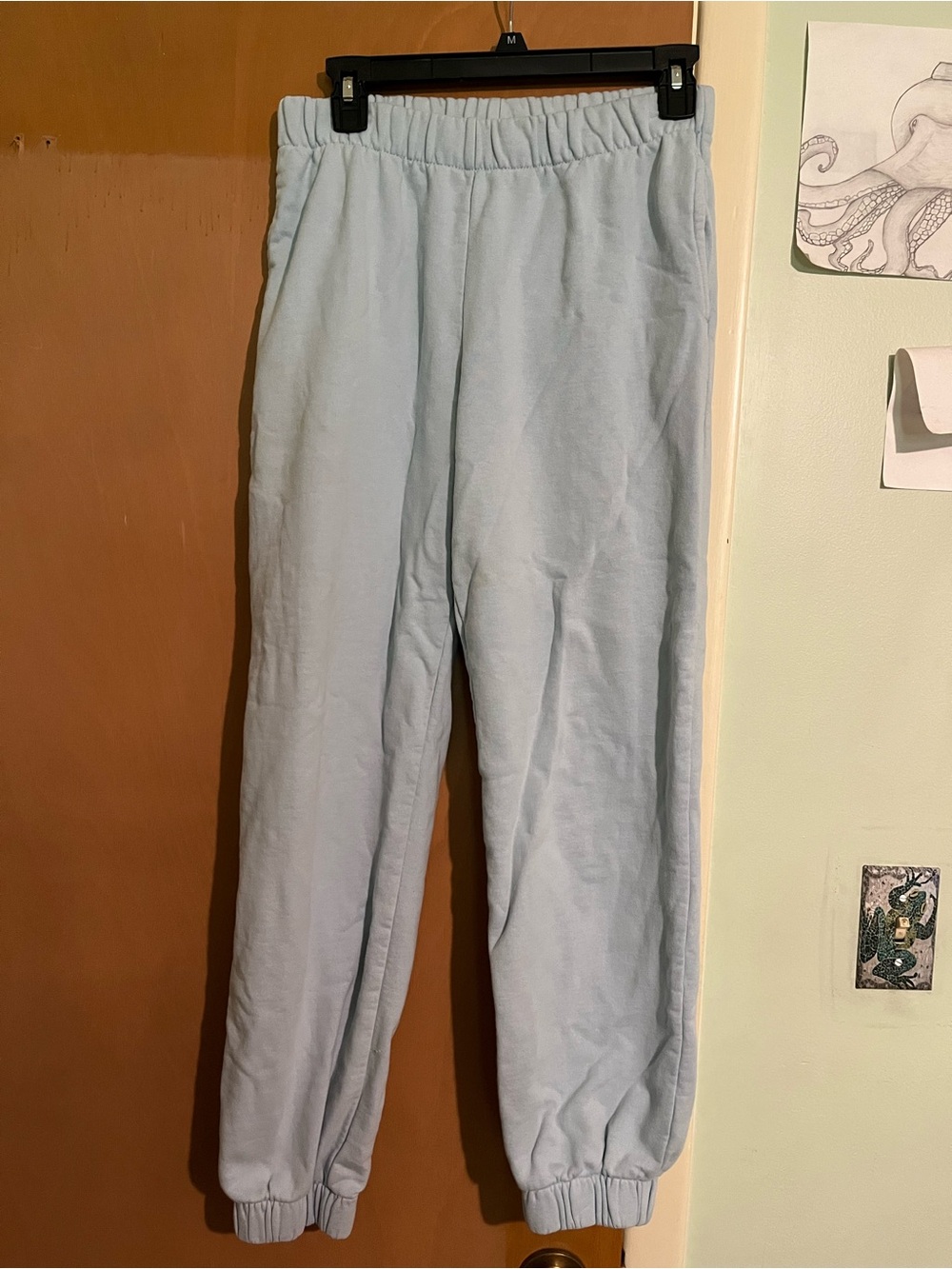 Brandy Melville Pale Blue Fleece Joggers